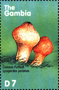 Briefmarke