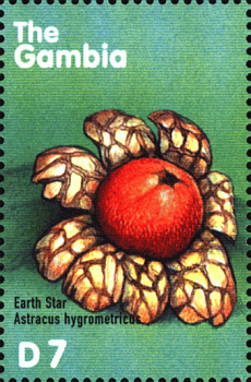 Briefmarke