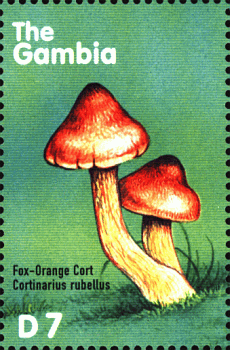 Briefmarke