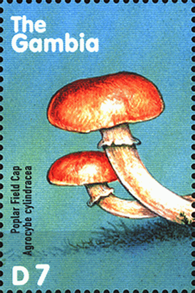 Briefmarke