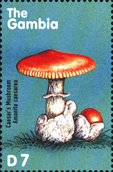 Briefmarke
