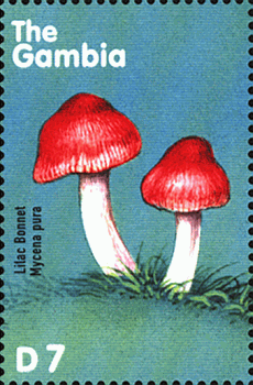 Briefmarke