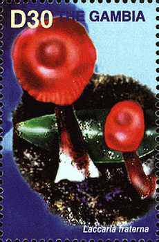Briefmarke