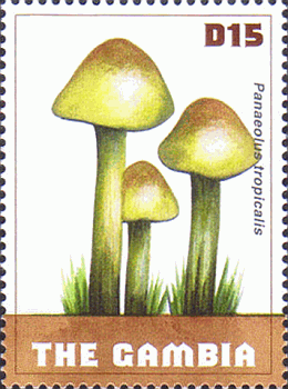 Briefmarke