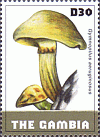 Briefmarke