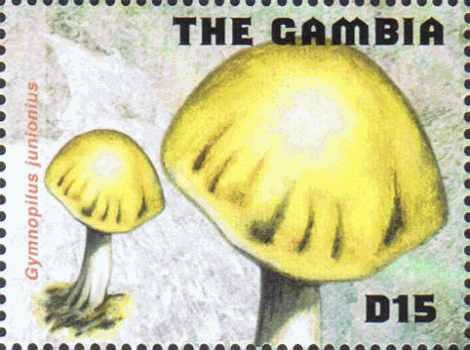 Briefmarke