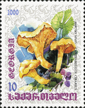 Briefmarke