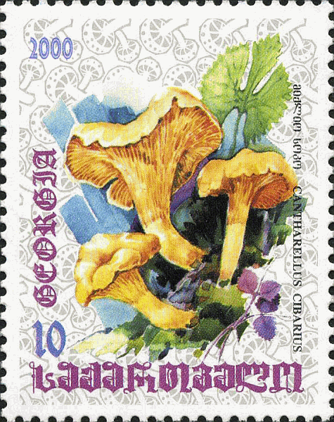 Briefmarke