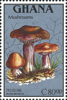 Briefmarke