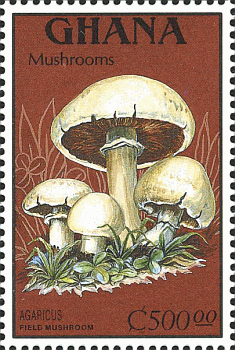 Briefmarke