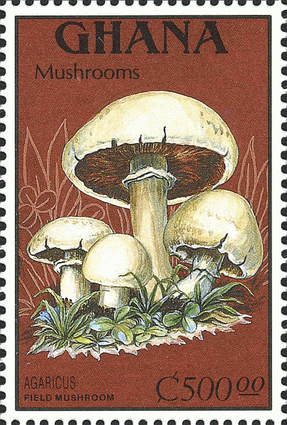 Briefmarke