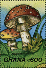 Briefmarke
