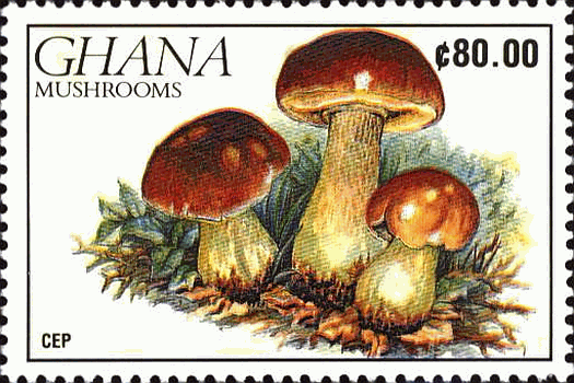 Briefmarke