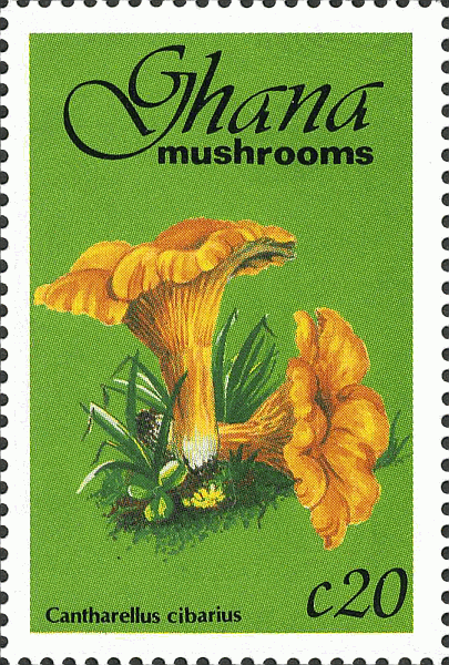 Briefmarke