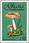 Briefmarke