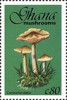 Briefmarke