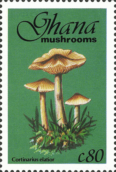 Briefmarke