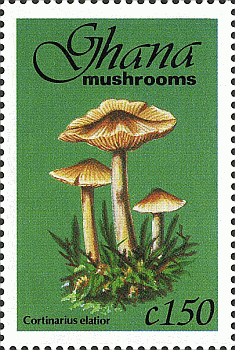 Briefmarke