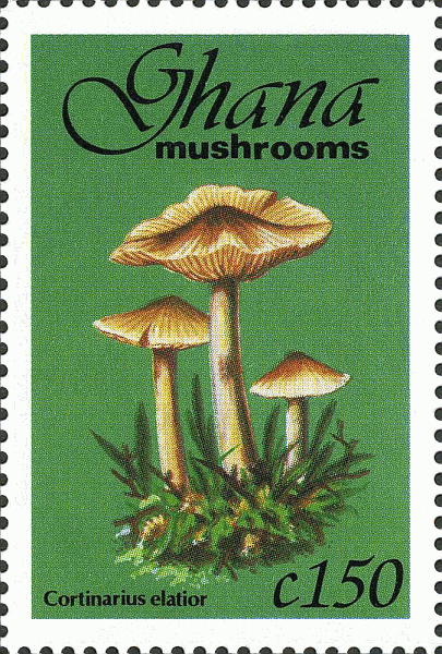 Briefmarke