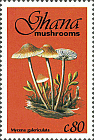 Briefmarke