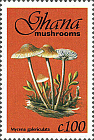 Briefmarke