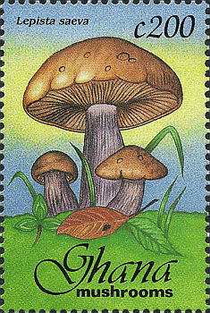 Briefmarke