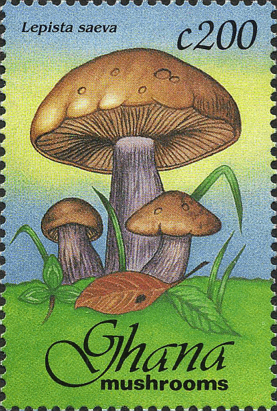 Briefmarke