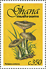 Briefmarke