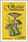 Briefmarke