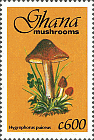 Briefmarke