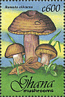 Briefmarke