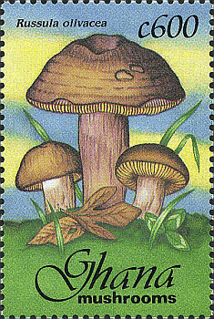 Briefmarke