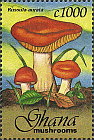 Briefmarke