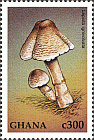 Briefmarke
