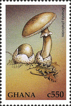 Briefmarke