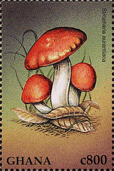 Briefmarke