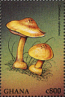 Briefmarke