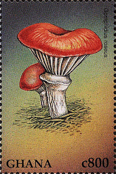 Briefmarke