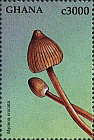 Briefmarke