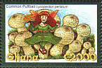 Briefmarke