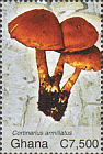 Briefmarke