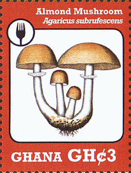 Briefmarke