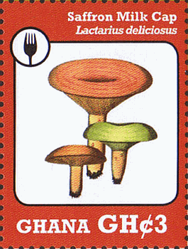 Briefmarke