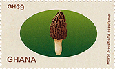 Briefmarke