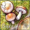 Briefmarke