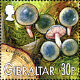 Briefmarke