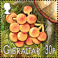 Briefmarke
