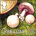 Briefmarke