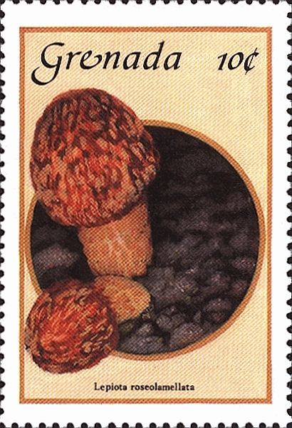 Briefmarke