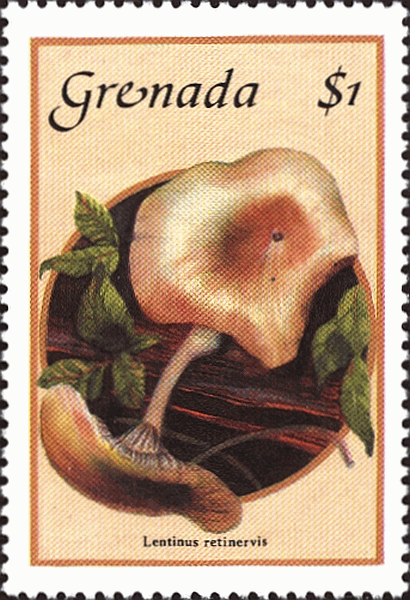 Briefmarke